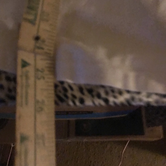 Vintage cream t-shirt 100% cotton Bob Marly lion logo, plain back short sleeve - Picture 3 of 14